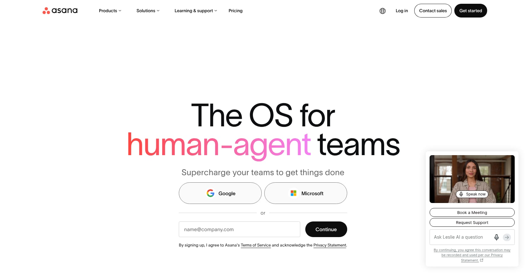 Asana Screenshot